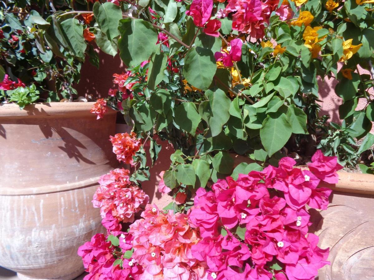 Riad Sesame Marrakesh Exterior photo